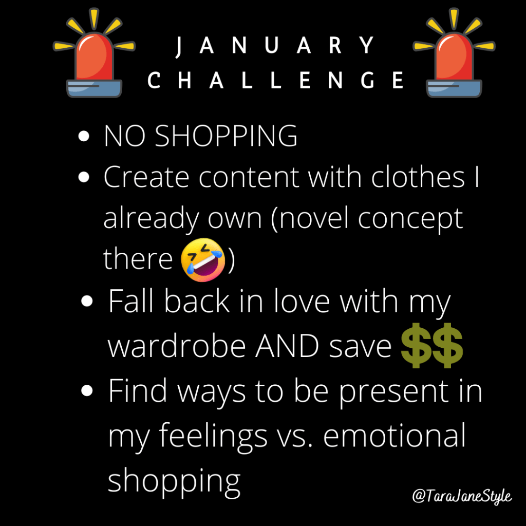 Style Challenge – No&nbsp;Shopping